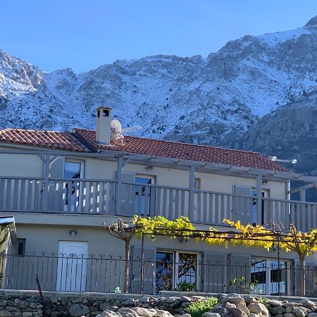 Casa Basgiu, Chambres Avec Balcon Et Table D'Hotes Zilia Kültér fotó