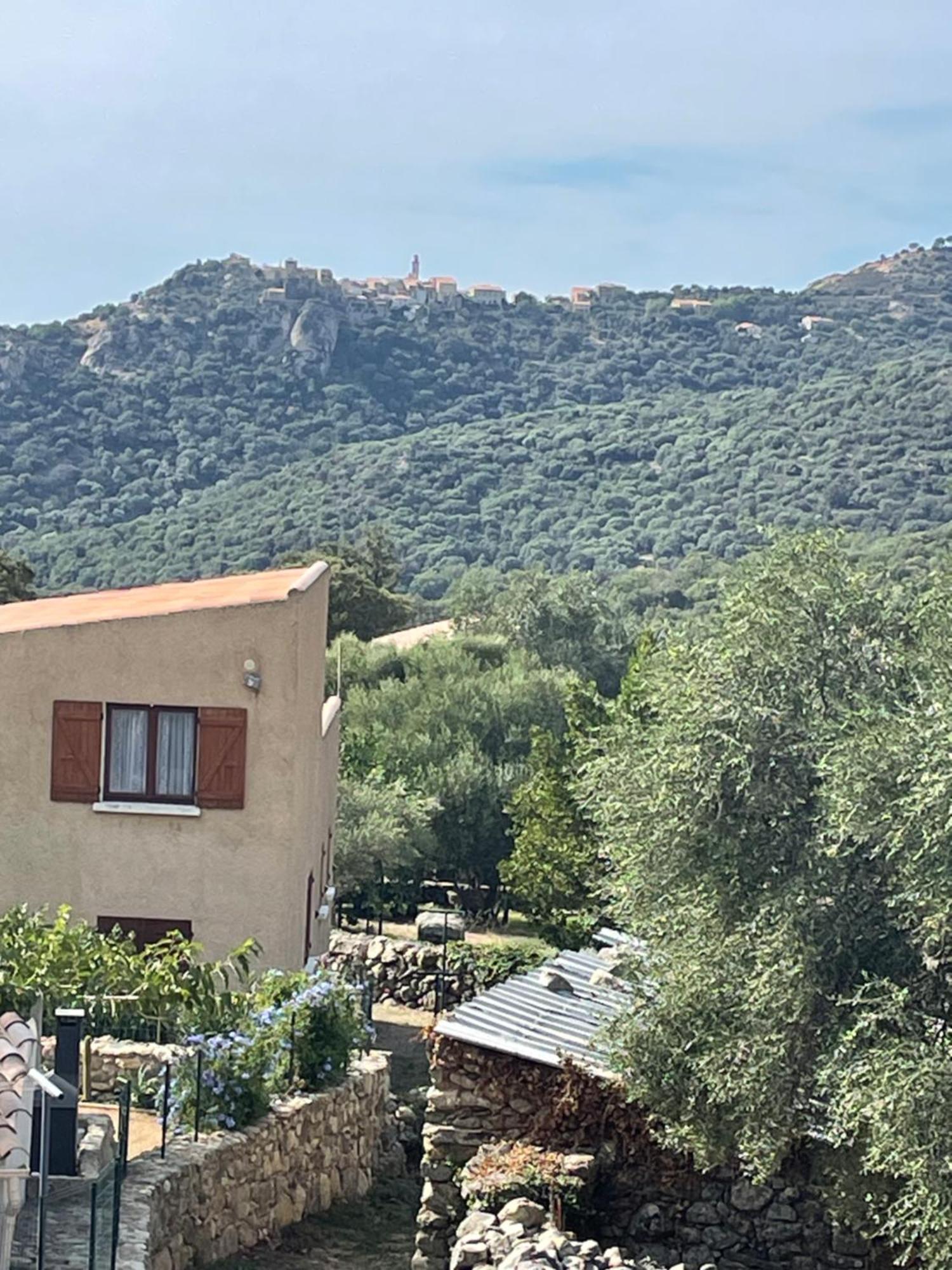 Casa Basgiu, Chambres Avec Balcon Et Table D'Hotes Zilia Kültér fotó